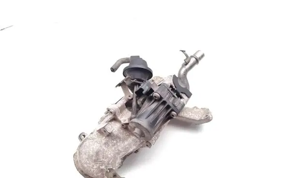Citroen Berlingo EGR valve PLH-19206-A 9802194080