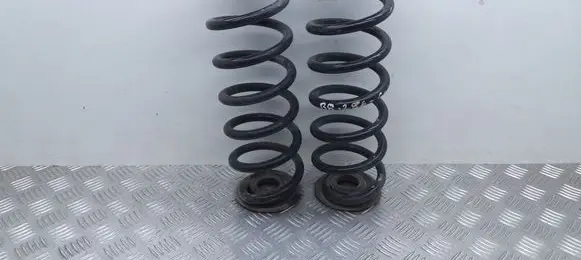 Rear coil spring