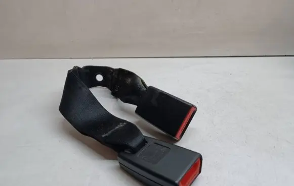 BMW X1 E84 Middle seatbelt buckle (rear) 7317731