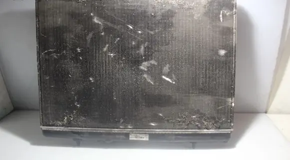 Peugeot Partner Coolant radiator M149382