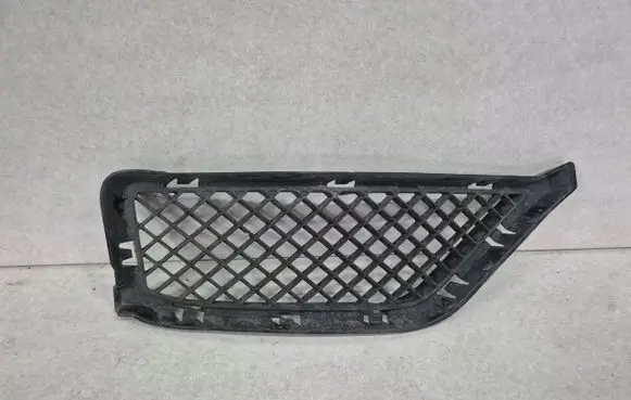 BMW X1 E84 Front bumper lower grill 7303756