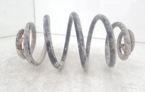 Volkswagen PASSAT B5 Rear coil spring