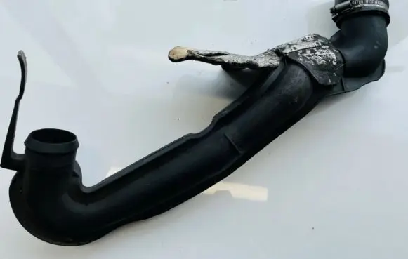 Peugeot 406 Intercooler hose/pipe 9625792080