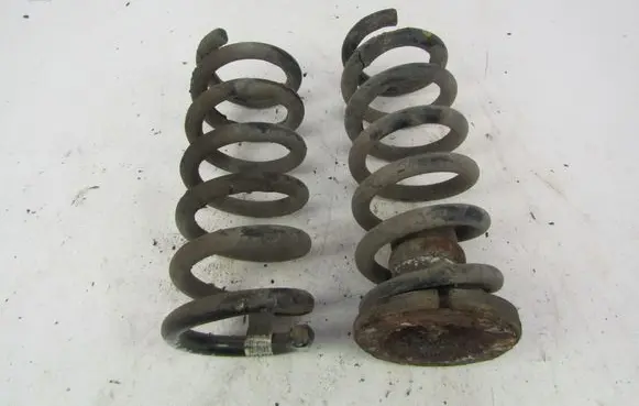 Chevrolet Trans Sport Rear coil spring 