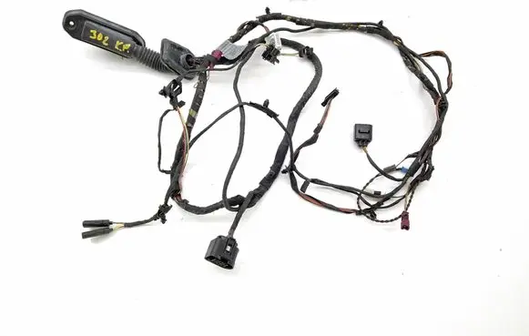 Front door wiring loom