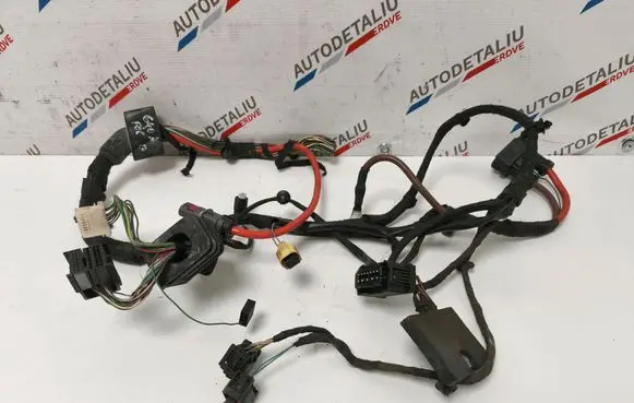BMW 6 F06 Gran coupe Other wiring loom