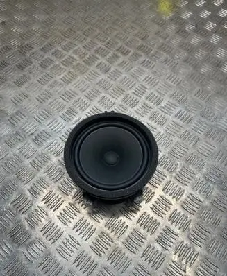 Rear door speaker