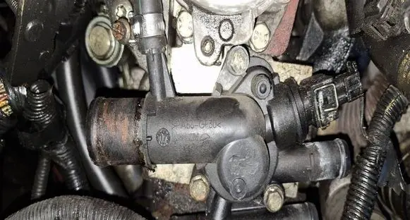 Nissan Primera Engine coolant pipe/hose