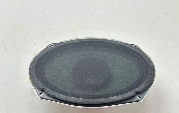 Chrysler Pacifica Front door speaker 05091019AB
