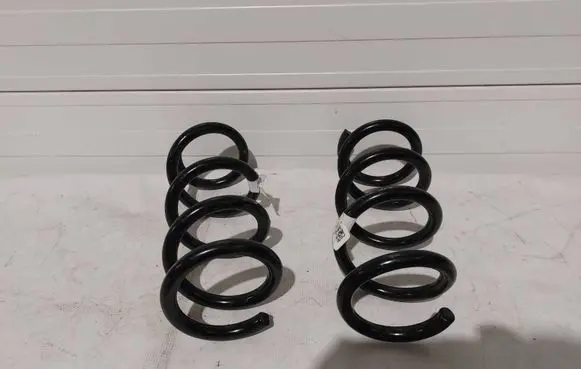 Ford Mustang VII Rear coil spring PR3C5560EB PR3C5560DB