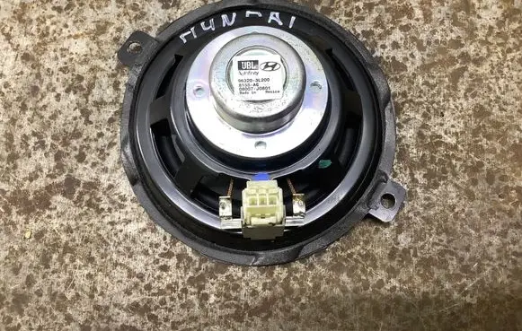 Panel speaker