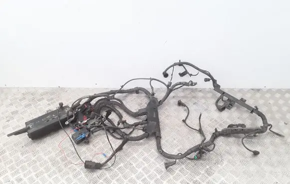 KIA Carnival Engine installation wiring loom 914101L121