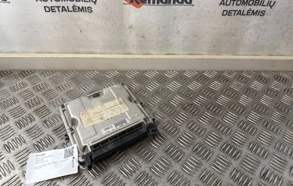 Peugeot 406 Engine control unit/module ECU 0281010252 81124031