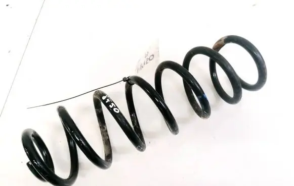 Renault Megane III Rear coil spring