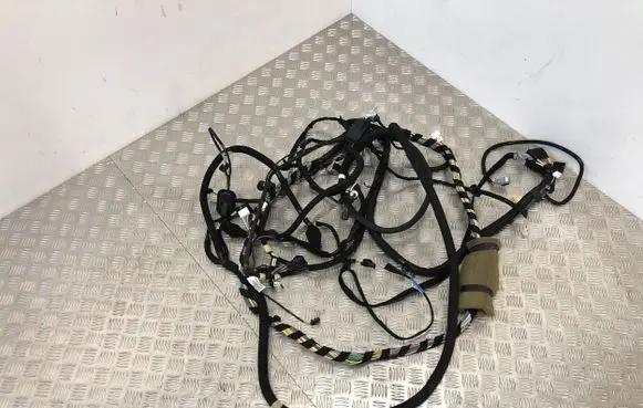 Opel Vivaro Other wiring loom 241609559R 0006275