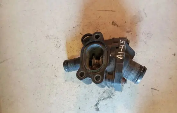 Thermostat/thermostat housing
