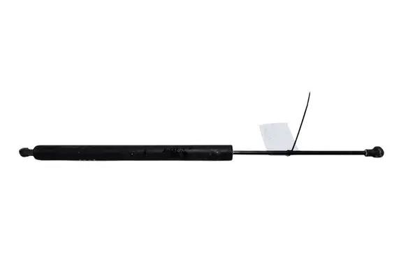 Tailgate/trunk strut/damper