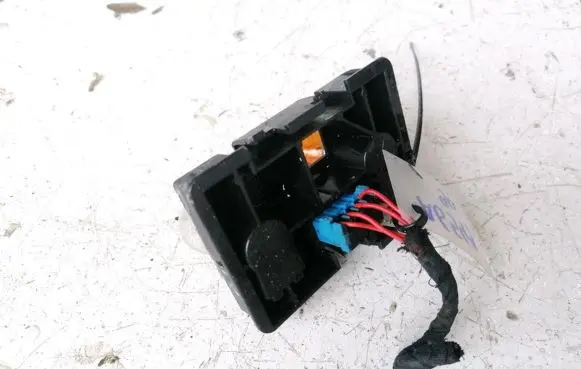 Citroen Xantia Tail light bulb cover holder