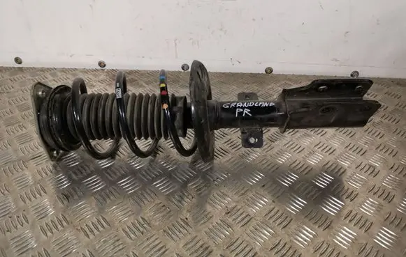 Opel Grandland X Front shock absorber/damper 9819718680