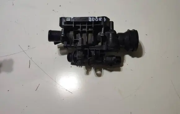 Thermostat/thermostat housing