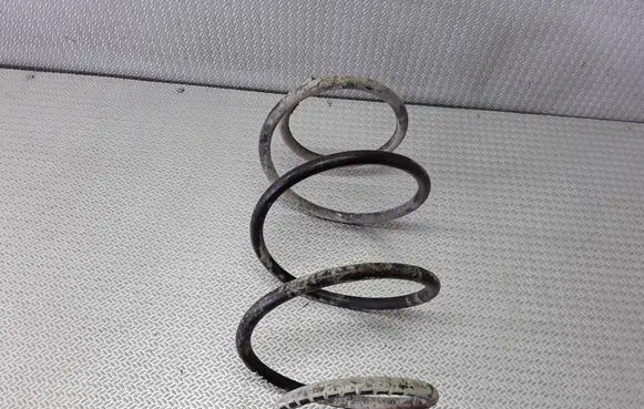 Front coil spring