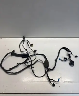 BMW X7 G07 Front door wiring loom 13318810 BJ5RP01C01