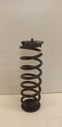 Seat Tarraco Rear coil spring 5QS511103R