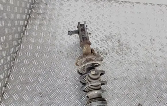 Opel Insignia A Front shock absorber with coil spring