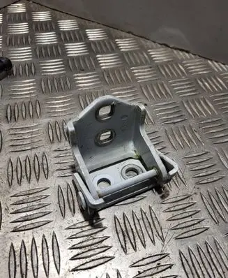 Renault Twingo II Front door lower hinge 