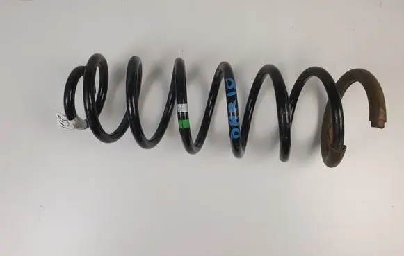 Rear coil spring