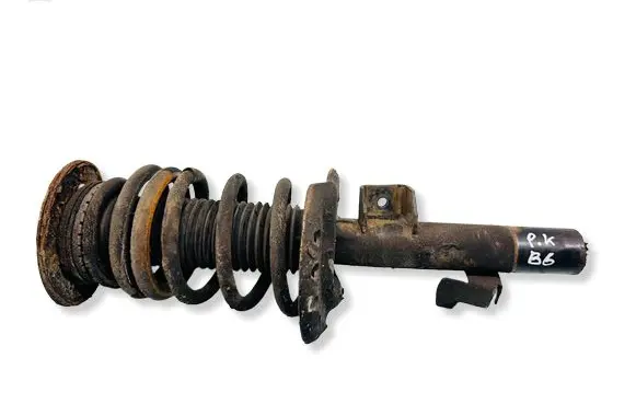 Ford S-MAX Front shock absorber with coil spring 