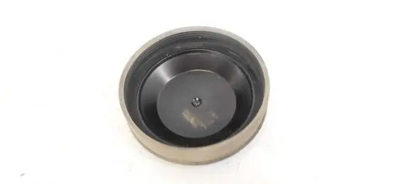 Citroen Jumpy Headlight/headlamp dust cover 89045709