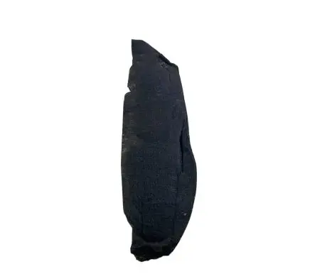 Ford Mustang V Fender foam support/seal 
