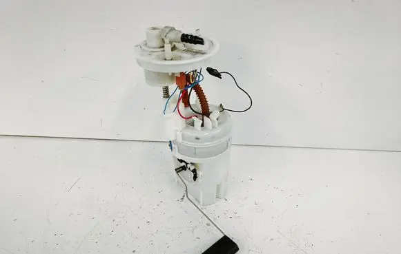 BMW X5M E70 In-tank fuel pump 7207597