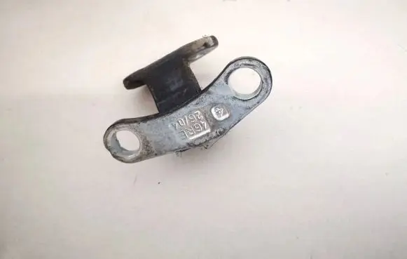 Rear door lower hinge
