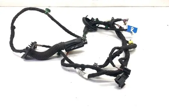 Volkswagen ID.3 Front door wiring loom 