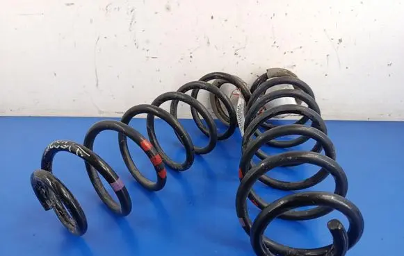 Rear coil spring