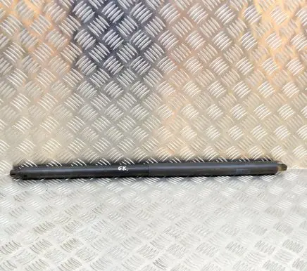 Tesla Model S Tailgate/trunk strut/damper 600661100B