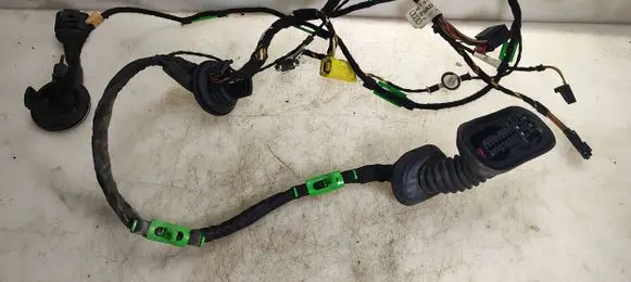 Front door wiring loom