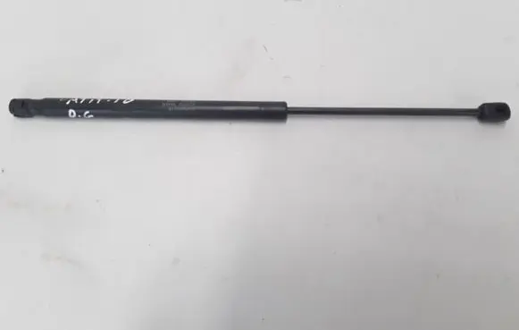 Tailgate strut