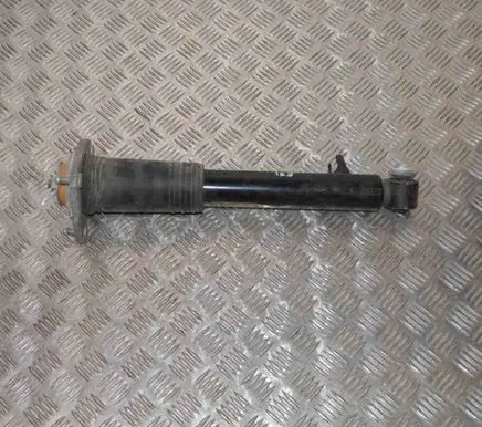 BMW X6 E71 Rear shock absorber/damper 6788512