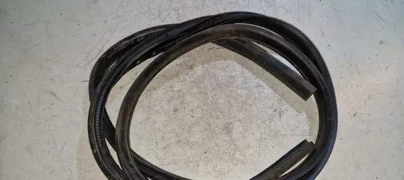 Ford C-MAX II Front door rubber seal 