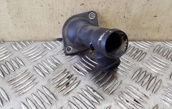 Thermostat/thermostat housing