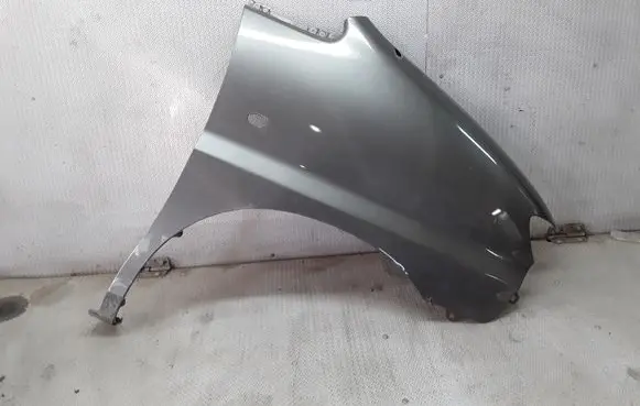 Hyundai H-1, Starex, Satellite Fender