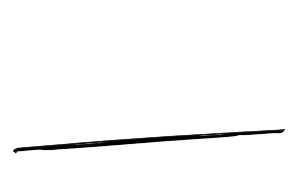 Citroen DS5 Front door glass trim molding