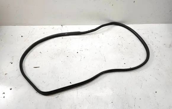 BMW X3 F25 Front door rubber seal 