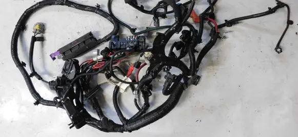Dacia Sandero III Engine installation wiring loom 240118895S