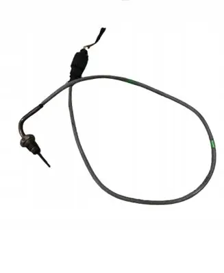 Exhaust gas temperature sensor