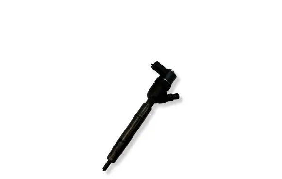 Hyundai i30 Fuel injector 0445110256