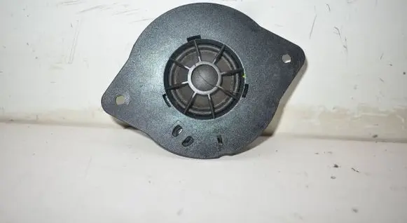Panel speaker